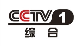 津南区副区长郑建立出席会议