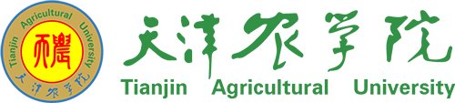 西青区津静路22号