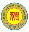 校园文化