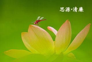 聚力建设“种业芯城”...